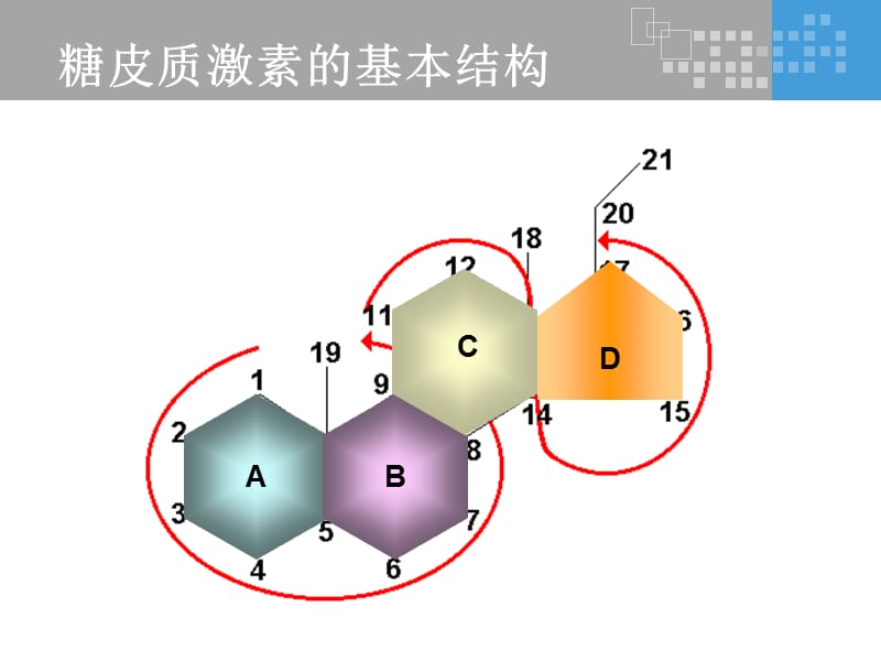 氟轻松是如何发挥其药理作用的？